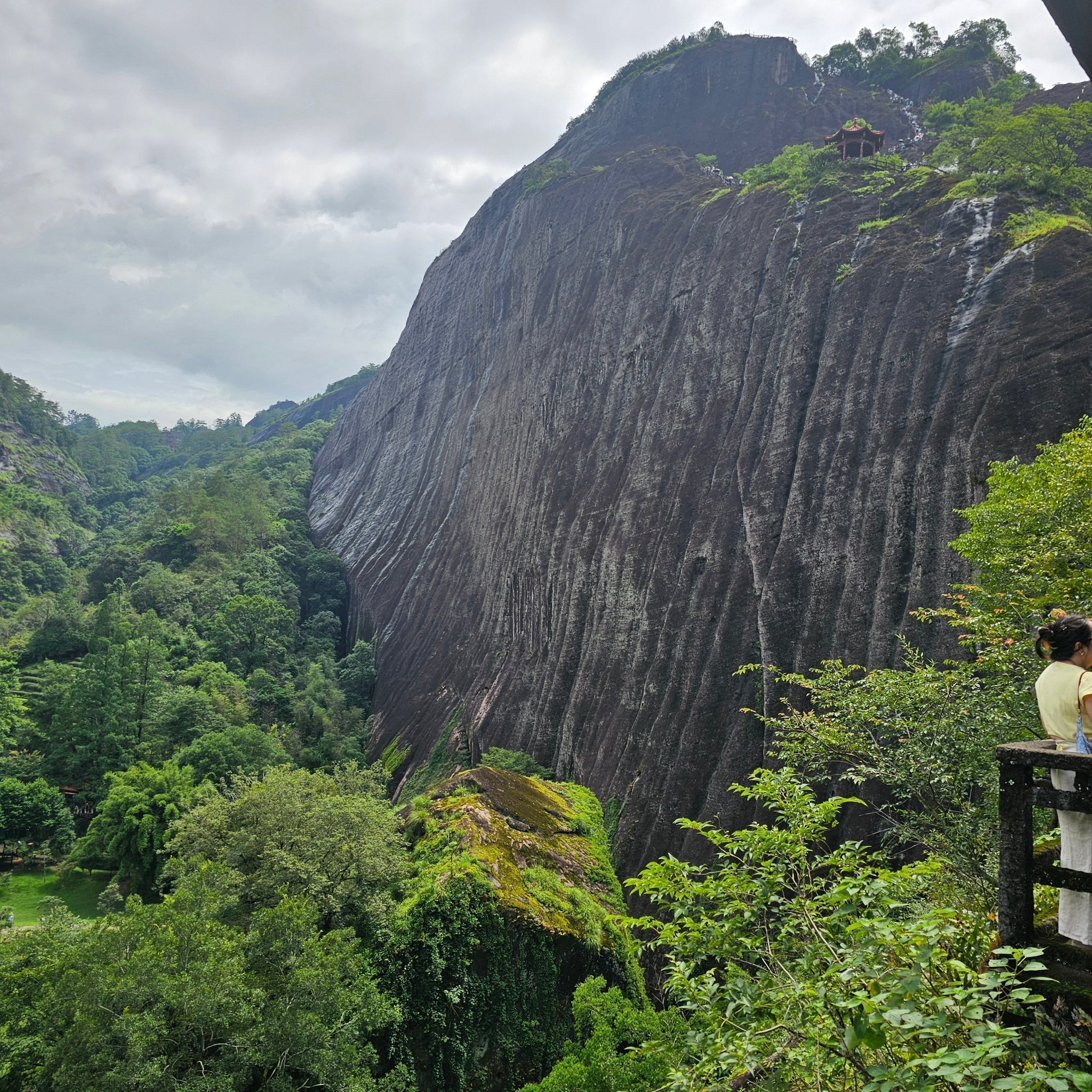 2025 China Tea Travel