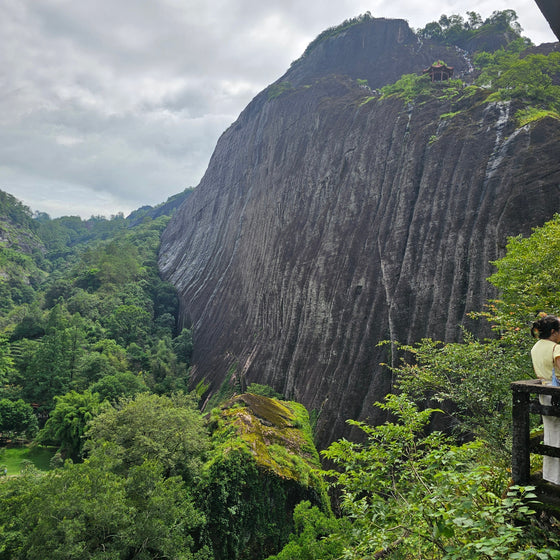 2025 China Tea Travel