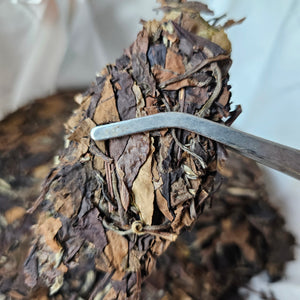 2012 "HuaXiang" Aged White Tea, $12.99 (2oz/56g)