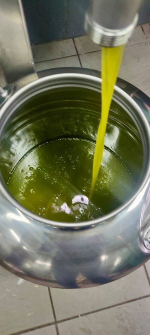 Klea Koroneiki Extra Virgin Olive Oil (500ml Tin)