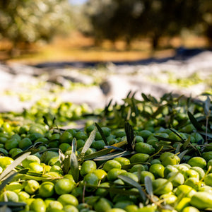 Klea Galani Extra Virgin Olive Oil (500ml Tin)