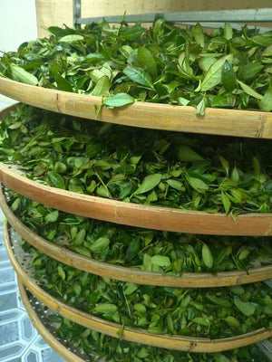 Anxi Tieguanyin, $30.99 (75g)