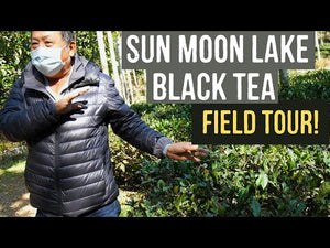 Red Jade Black Tea, $23.99 (75g)