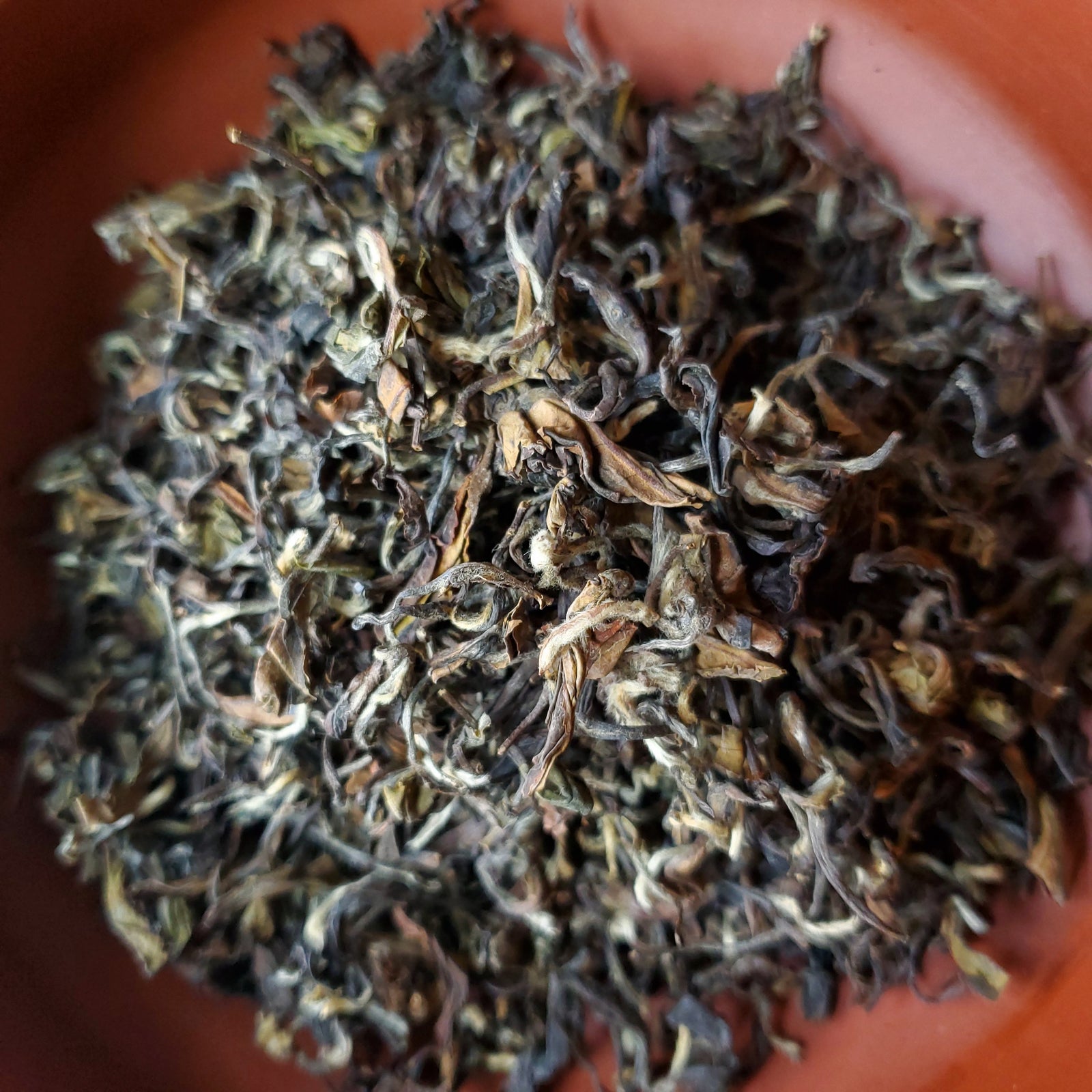 Asian Beauty Oolong, $19.99 (75g)