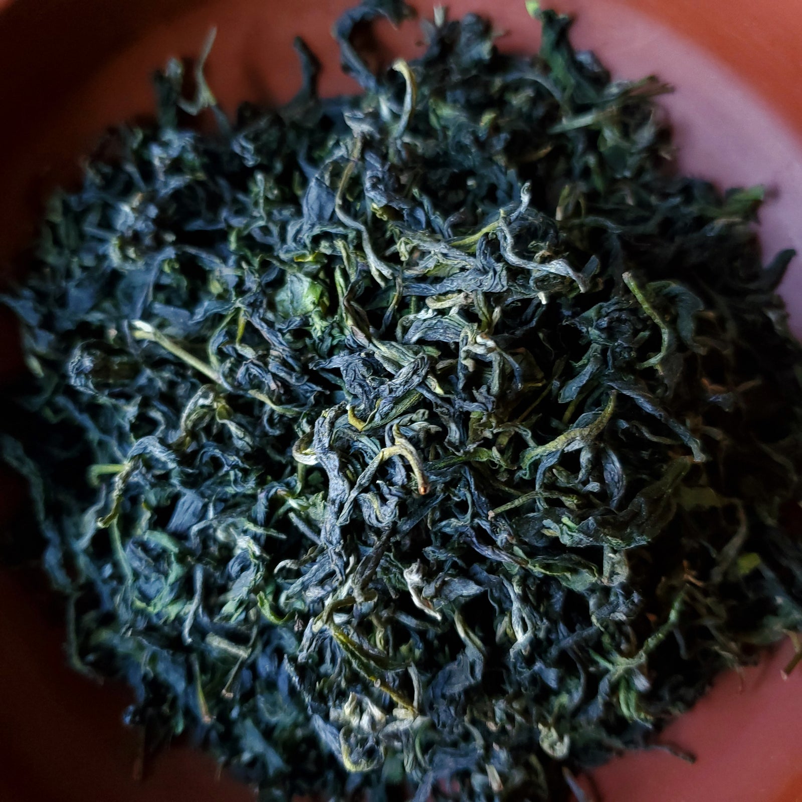 Twisted Green, $18.99 (75g)