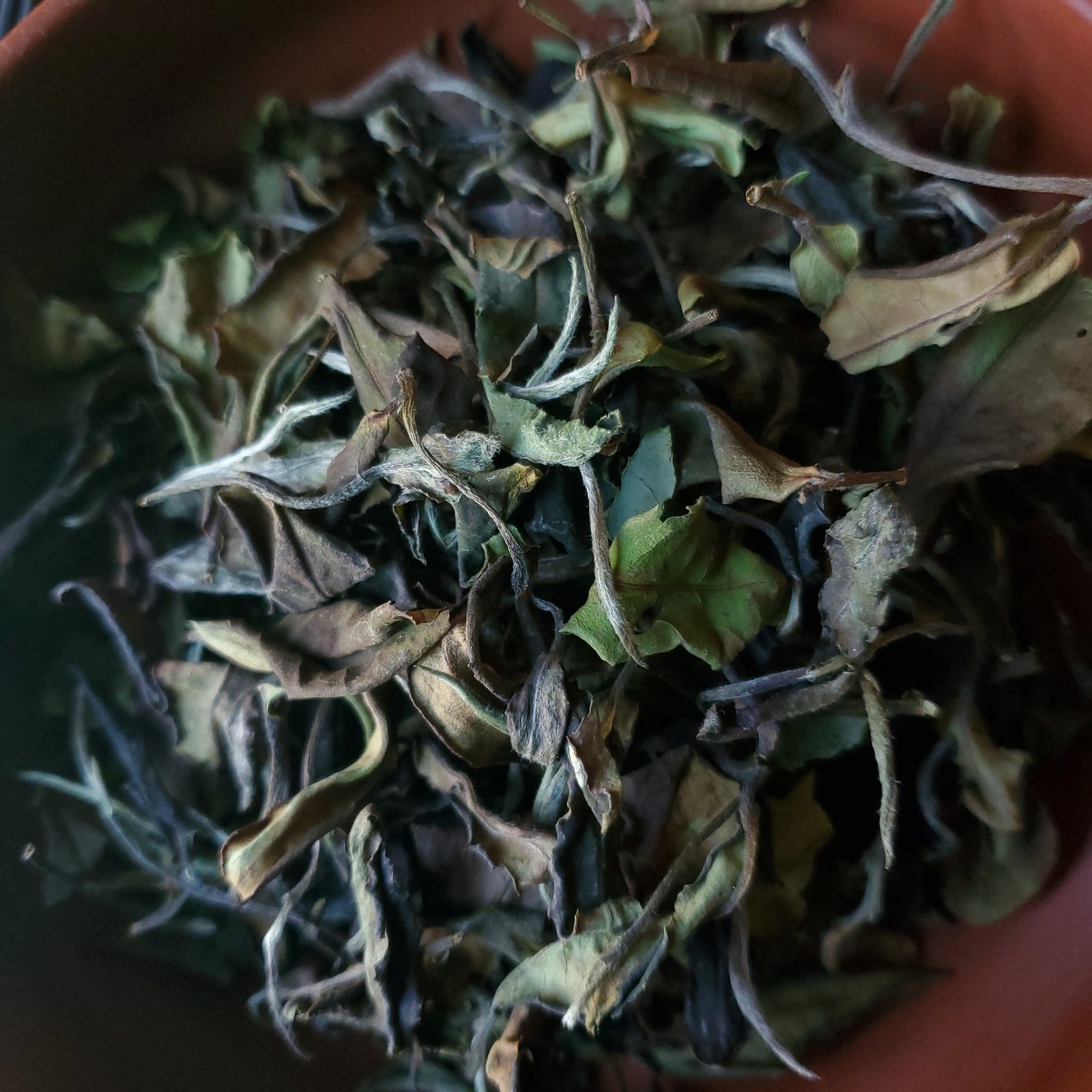 Taiwanese White, $18.99 (75g)