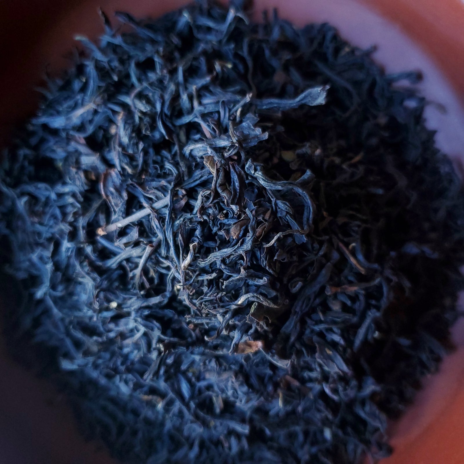 Premium Lapsang Souchong, $24.99 (75g)
